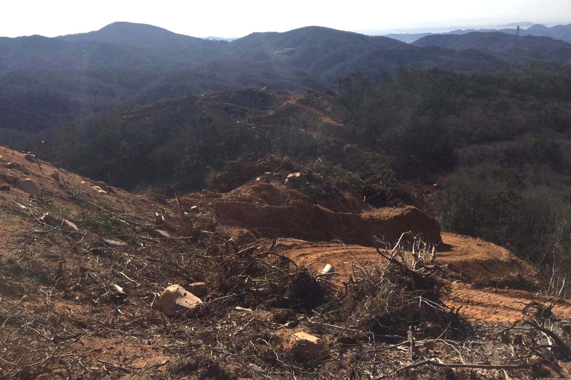 鳥取県倉吉市 大規模伐採の画像