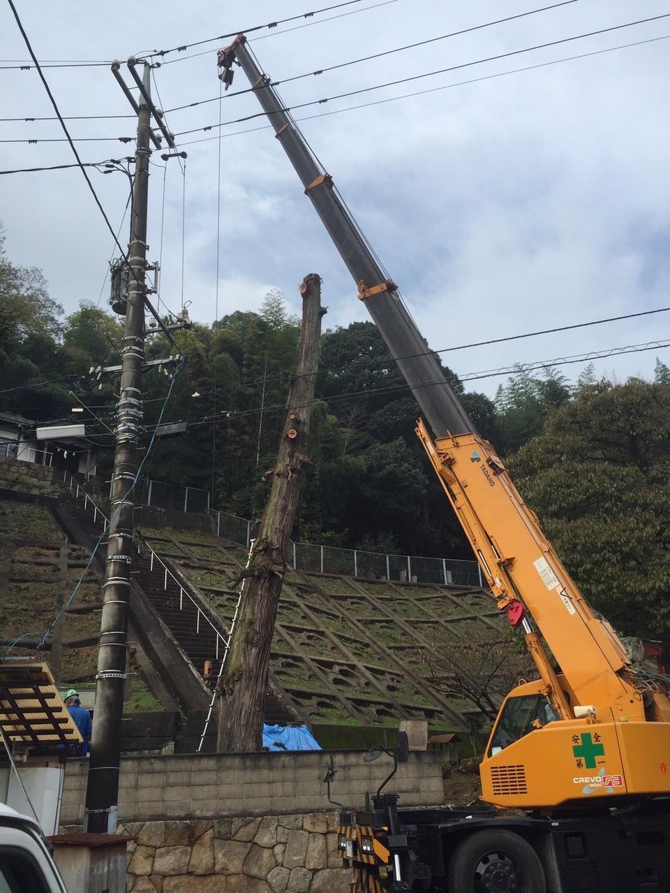 玉島地内神社 カイズカイブキクレーン伐採の画像