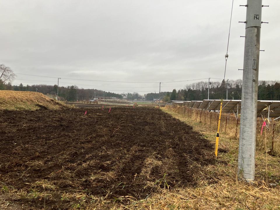 栃木県芳賀郡 太陽伐採980㎡の画像