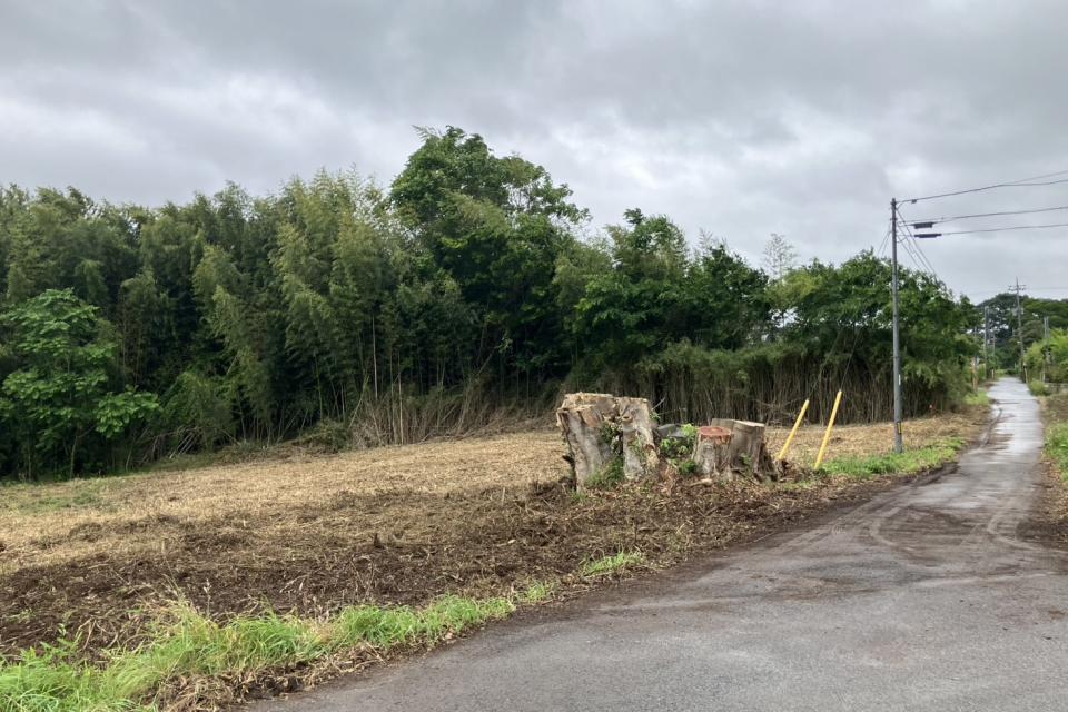 茨城稲敷地内（道祖神）支障木伐採の画像