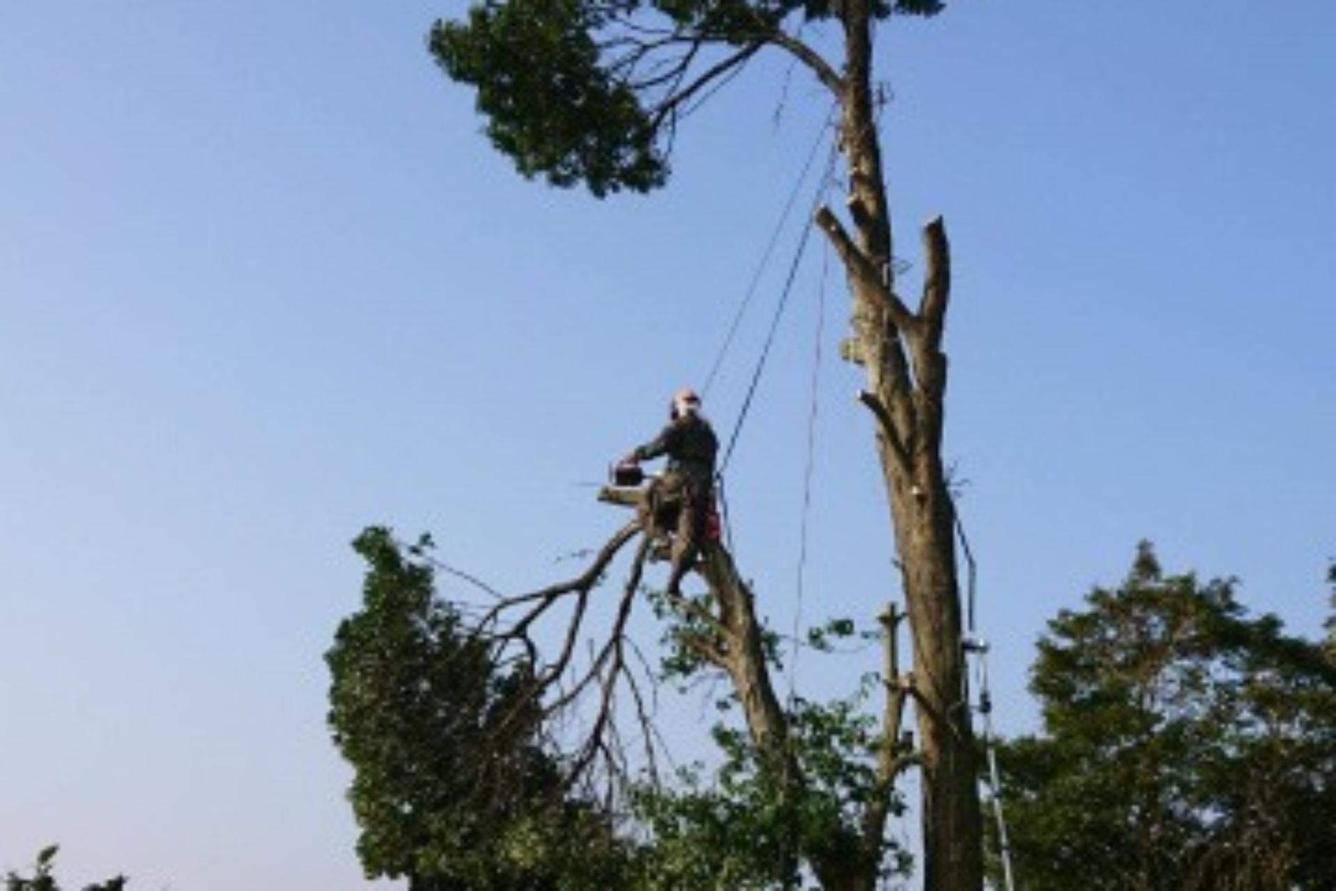 吊るし切りのイメージ画像