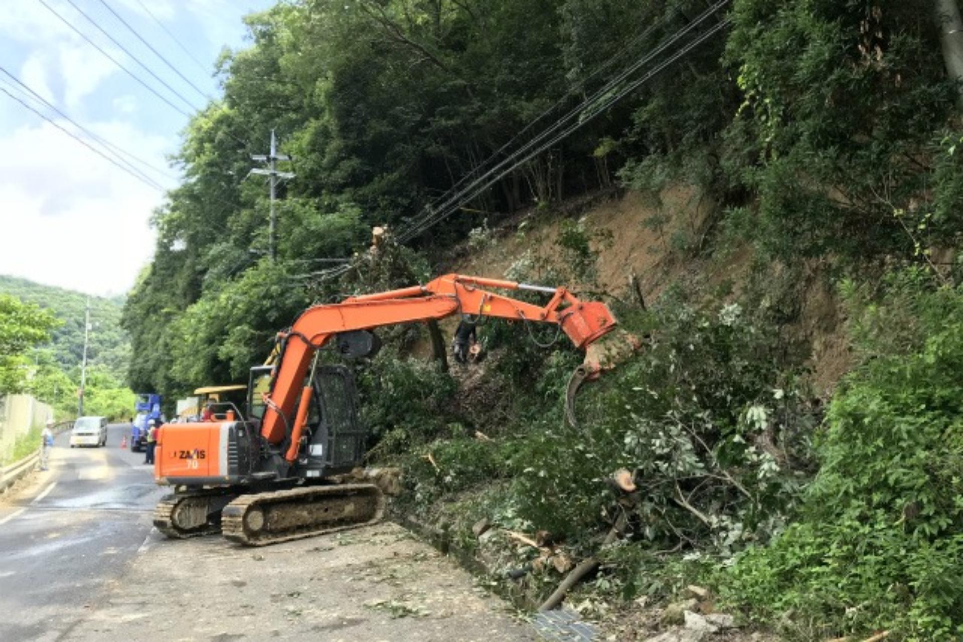 伐採のイメージ画像