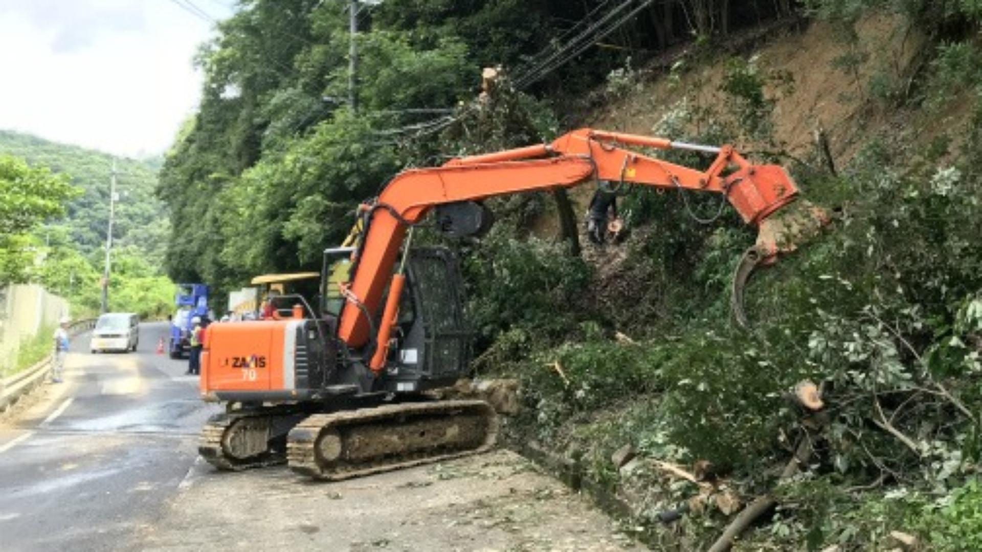 フェラーバンチャーの画像