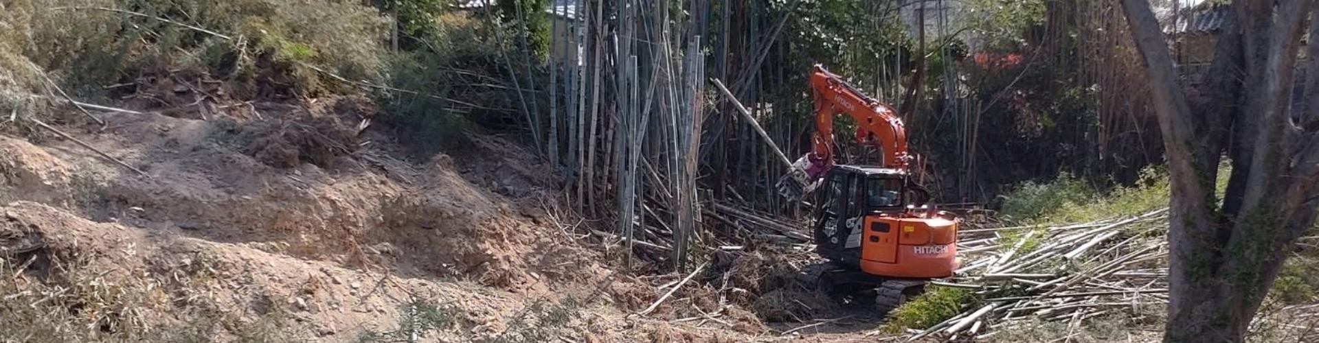 フェラーバンチャ―の画像