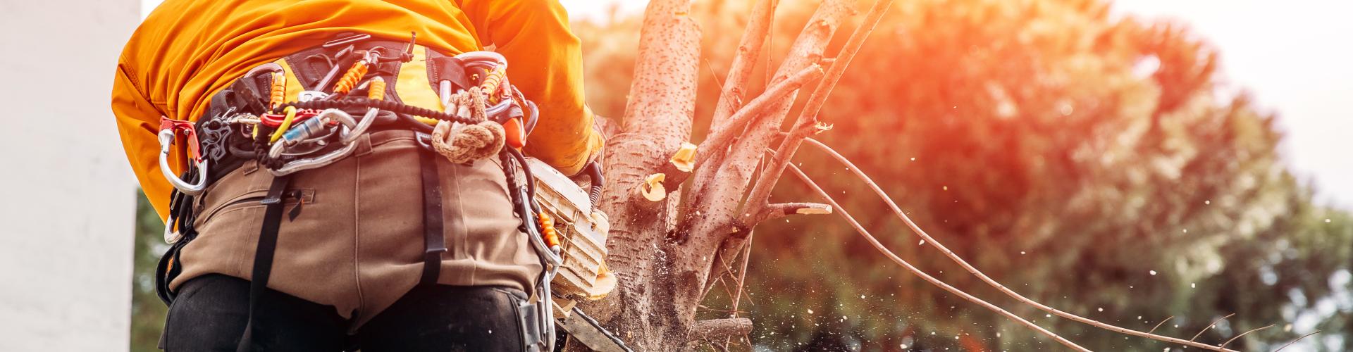 自社開発の専用道具のイメージ画像