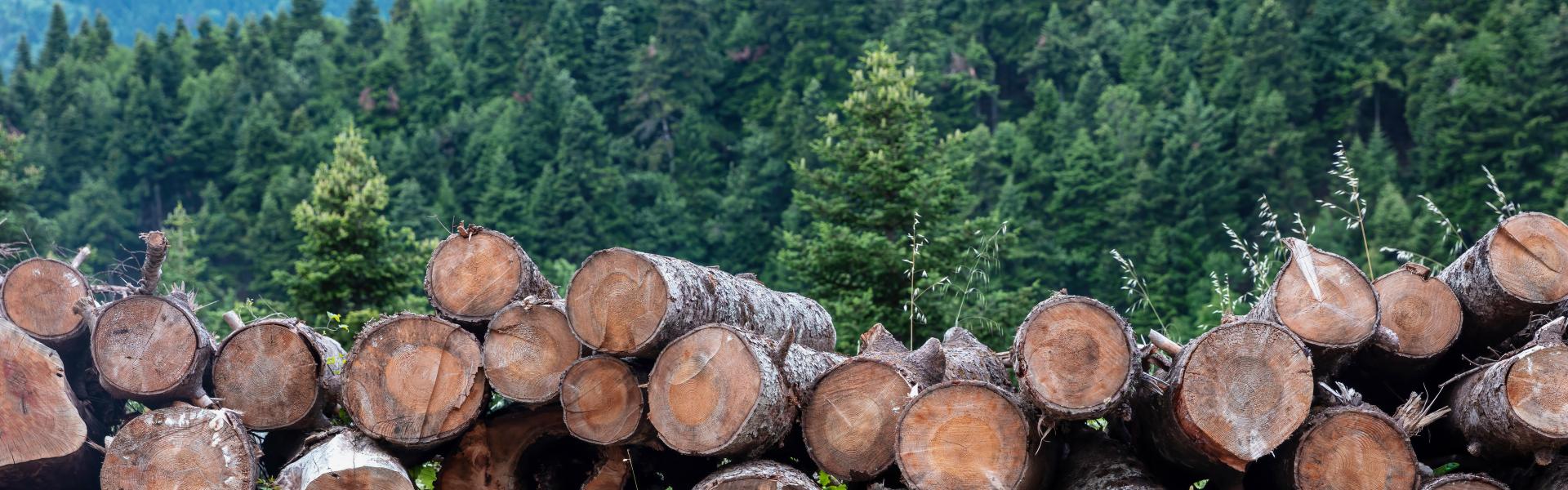 サブバナー背景画像