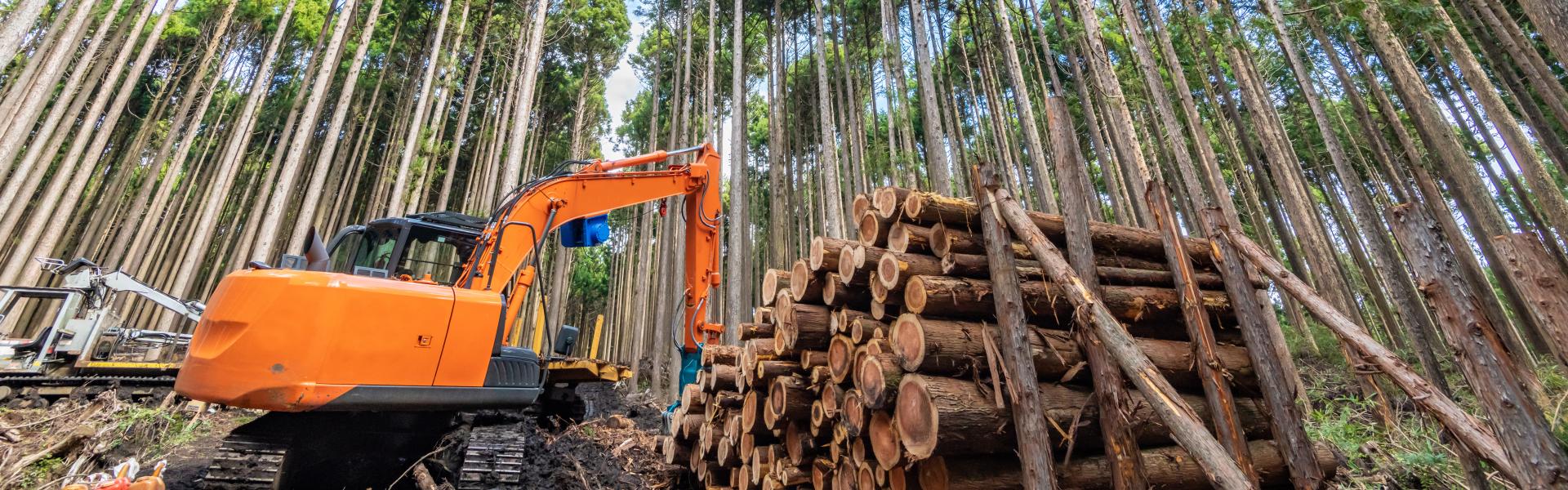サブバナー背景画像
