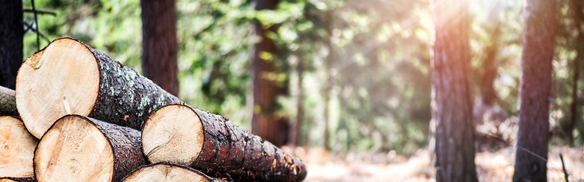 サブバナー背景画像