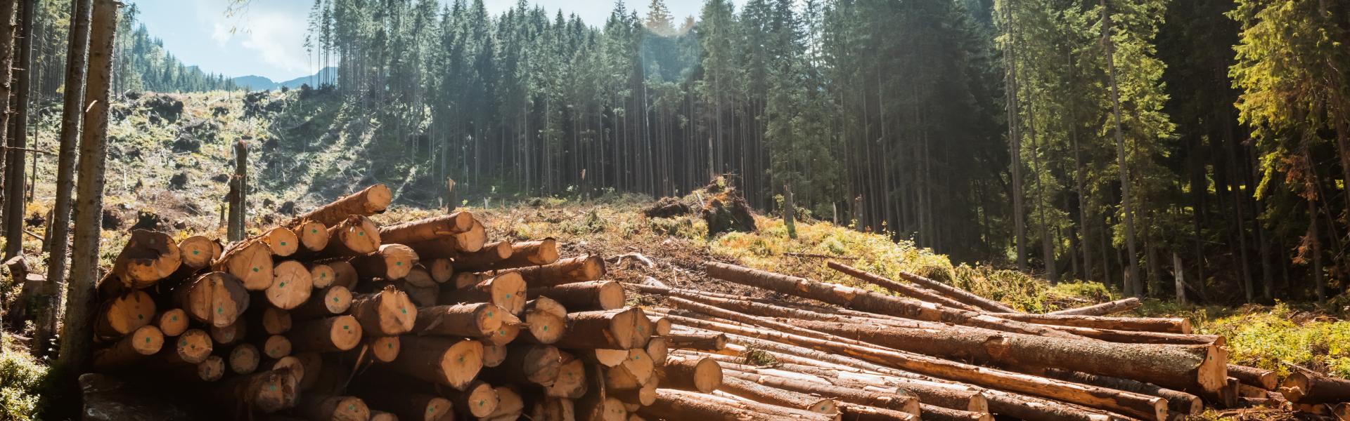 サブバナー背景画像
