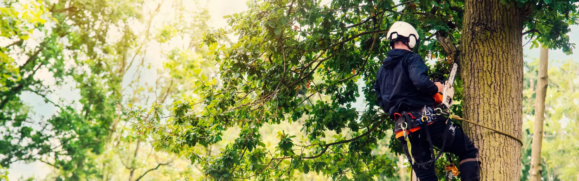 サブバナー背景画像