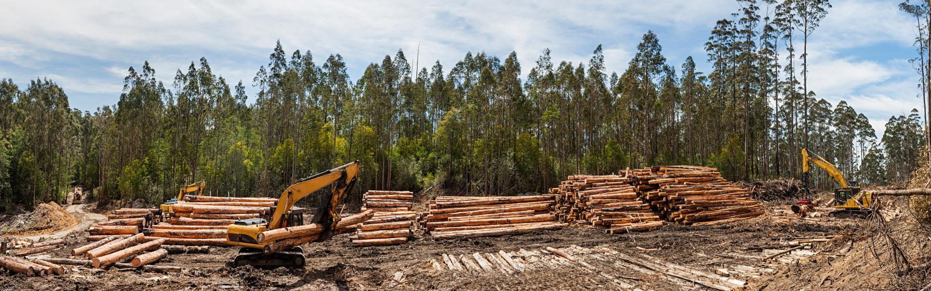 サブバナー背景画像