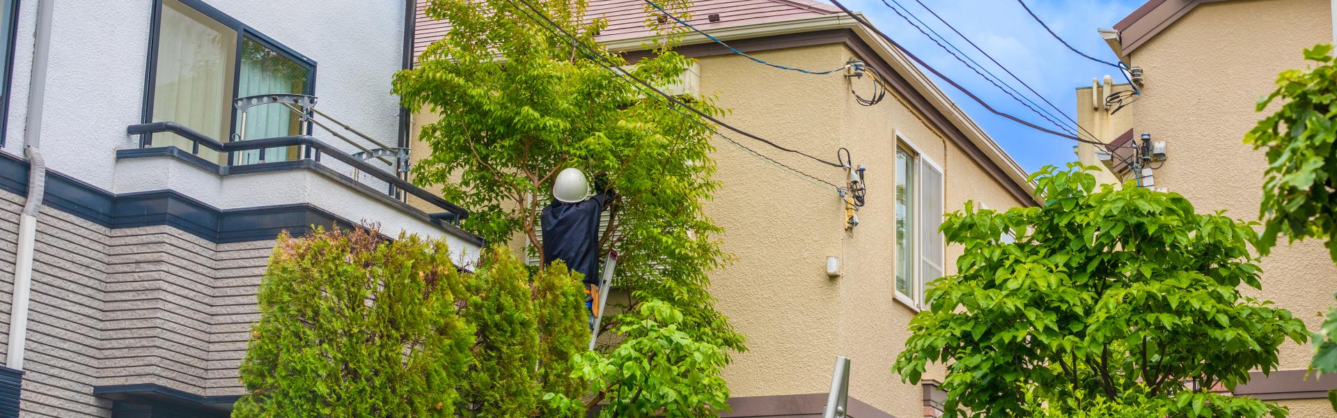 サブバナー背景画像